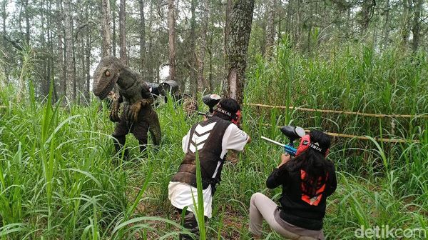 Foto: Di Gunung Lawu, Bisa Ketemu Dinosaurus di Hutan Pinus
