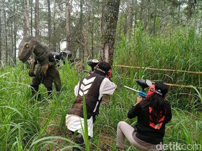 Foto: Di Gunung Lawu, Bisa Ketemu Dinosaurus di Hutan Pinus