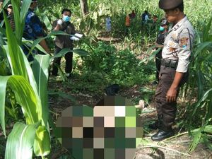 Autopsi Mayat Pemandu Lagu yang Bugil Berlangsung 6 Jam, Hasilnya? Autopsi Mayat Pemandu Lagu yang Bugil Berlangsung 6 Jam, Hasilnya?