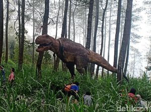 Main dengan Dinosaurus di Jurassic Park ala Magetan Main dengan Dinosaurus di Jurassic Park ala Magetan