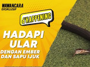 dHappening: Hadapi Ular dengan Ember Plastik dan Sapu Ijuk dHappening: Hadapi Ular dengan Ember Plastik dan Sapu Ijuk