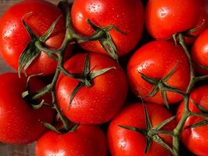 Kalau Rutin Dikonsumsi, 5 Makanan Ini Bisa Redakan Nyeri Kalau Rutin Dikonsumsi, 5 Makanan Ini Bisa Redakan Nyeri