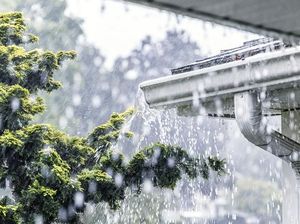 Musim Hujan Tiba, Konsumsi 5 Makanan Ini untuk Perkuat Sistem Imun Tubuh