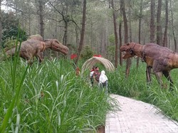 Tempat Liburan bareng Keluarga di Gunung Lawu Ini Bikin Betah