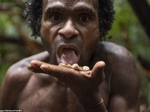 Makan Sagu hingga Ulat, Suku Korowai di Papua Barat Punya Pola Makan Alami Makan Sagu hingga Ulat, Suku Korowai di Papua Barat Punya Pola Makan Alami