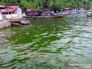 Air Laut di Padang Jadi Hijau, Fenomena Ini Diduga Jadi Penyebabnya Air Laut di Padang Jadi Hijau, Fenomena Ini Diduga Jadi Penyebabnya
