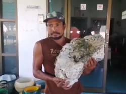 Nelayan Yang Jadi Miliarder dari Muntahan Paus, Garuda Bawa Vaksin ke RI