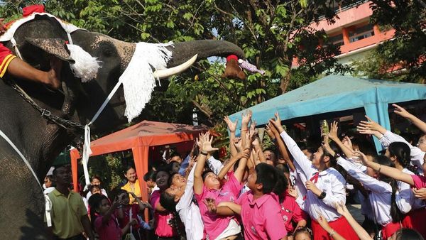 Gajah di Thailand Bagi-bagi Hadiah Natal Kepada Siswa Sekolah