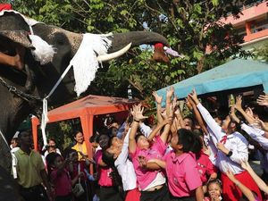 Gajah di Thailand Bagi-bagi Hadiah Natal Kepada Siswa Sekolah