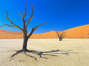 Namibia akan Cabut Bebas Visa bagi Negara Pelit Timbal Balik Namibia akan Cabut Bebas Visa bagi Negara Pelit Timbal Balik