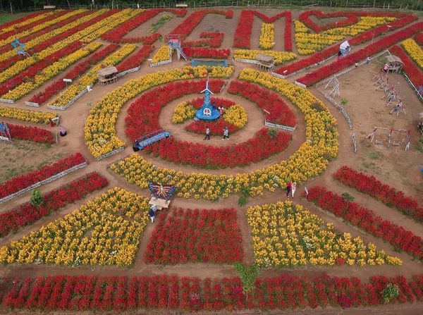 Menikmati Indahnya Wisata Taman Bunga Dharmasraya