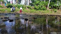 Semangat Pelajar Cianjur Nekat Terobos Sungai Demi Sekolah