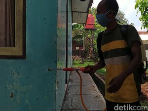 Hiii... Ulat Bulu Teror SLBN di Cirebon