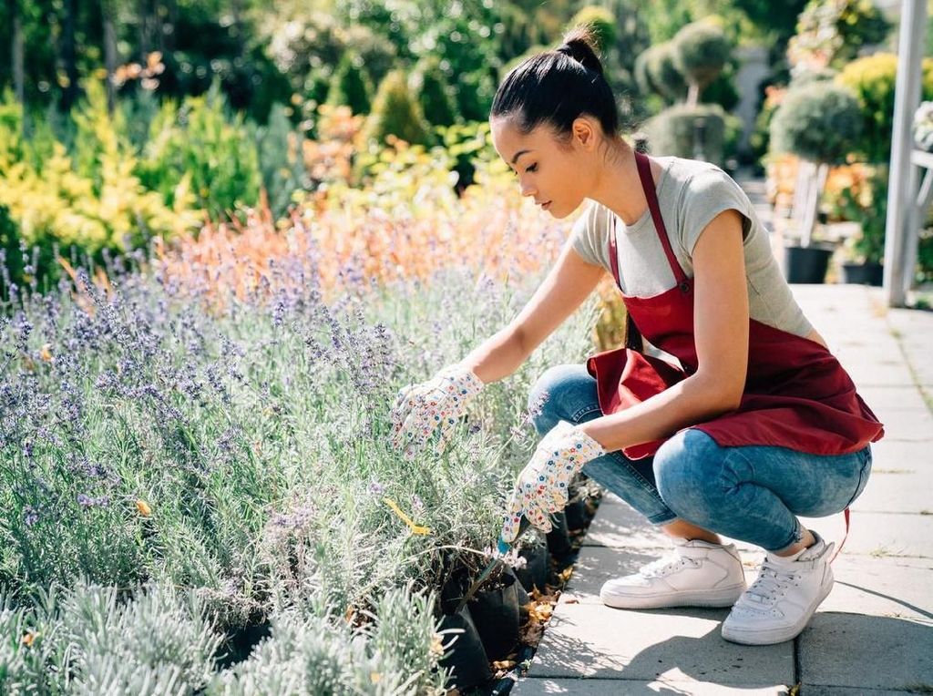 Sudah Tahu? Ada Hari Berkebun Bugil Sedunia Lho Sudah Tahu? Ada Hari Berkebun Bugil Sedunia Lho