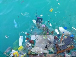 Turis Ini Lagi Berenang, Eh Hampir Ciuman dengan Kotoran Manusia