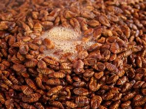 Berani Cicip? Ini 5 Makanan Ekstrem Korea yang Terkenal Berani Cicip? Ini 5 Makanan Ekstrem Korea yang Terkenal