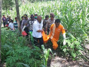 Mayat Wanita Bugil di Kebun Jagung Diduga Korban Pembunuhan