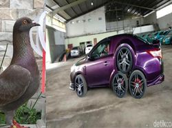 Kaleidoskop 2019: Heboh Merpati Seharga Rp 1 Miliar dan Mobil Roda 8
