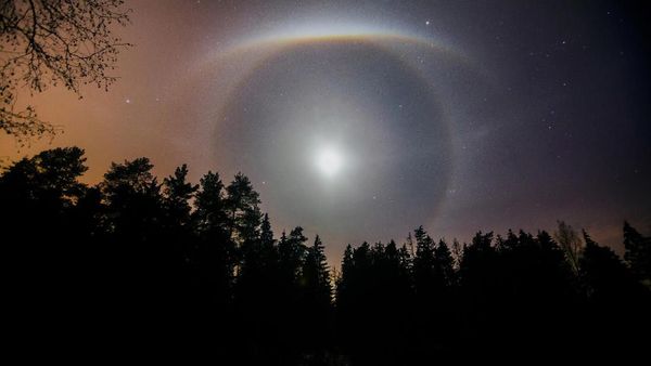 Deretan Foto Fenomena Ilmiah yang Menakjubkan Mata