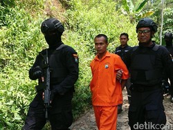 Pelaku Ilegal Logging Tabrak Polisi Saat Hendak Ditangkap