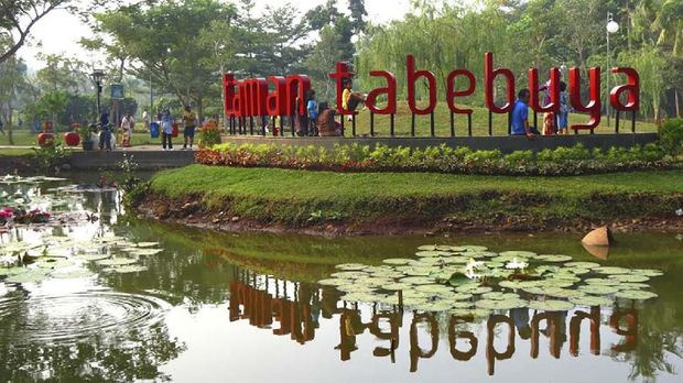 taman tabebuya