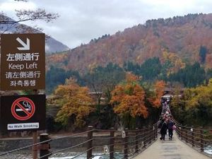 Shirakawago, Salah Satu Desa Cantik Rupawan dari Jepang