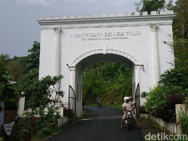 Foto: Agrowisata Dillem Wilis, Suasana Belanda di Trenggalek