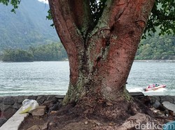 Jelang Nataru, Pengunjung Keluhkan Telaga Sarangan yang Terkesan Jorok