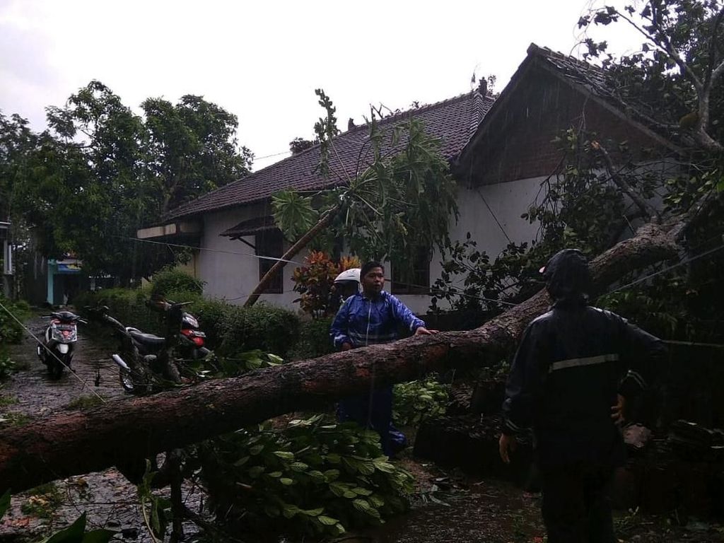 Angin Kencang dan Hujan Es Juga Terjadi di Sleman Angin Kencang dan Hujan Es Juga Terjadi di Sleman