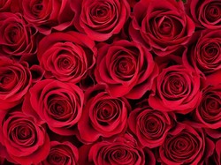 Sejarah Hari Valentine Tak Lepas dari Kisah Tragis Pendeta Dihukum Pancung