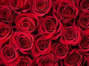 Sejarah Hari Valentine Tak Lepas dari Kisah Tragis Pendeta Dihukum Pancung Sejarah Hari Valentine Tak Lepas dari Kisah Tragis Pendeta Dihukum Pancung