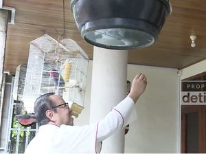 Menengkok Kebun, Burung dan Ayam Koleksi Kardinal Suharyo