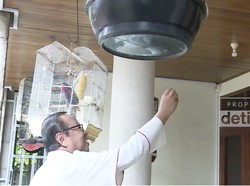 Menengkok Kebun, Burung dan Ayam Koleksi Kardinal Suharyo