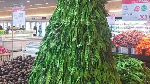 Kumpulan Pohon Natal Unik dan Cantik