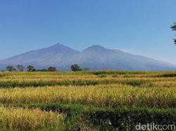 Kabar Gembira, Pendaki Bisa Rayakan Tahun Baru di Arjuno-Welirang