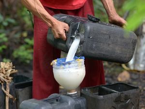 Minum Arak Kelapa Saat Rayakan Natal, 300 Orang di Filipina Dirawat Minum Arak Kelapa Saat Rayakan Natal, 300 Orang di Filipina Dirawat