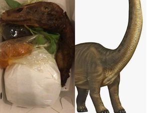 Seporsi Menu Kepala Dinosaurus Goreng Ini Bikin Nggak Nafsu Makan