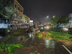 Hujan Deras dan Angin Kencang Sebabkan Banjir-Pohon Tumbang di Palembang