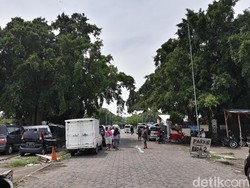 Belasan Pohon di Alun-alun Solo Tumbang, Ringin Kurung Masih Tegak
