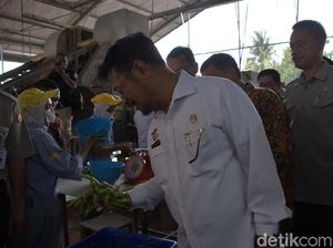 Permintaan Tinggi, Mentan Sebut Edamame Indonesia Bisa Mendunia Permintaan Tinggi, Mentan Sebut Edamame Indonesia Bisa Mendunia