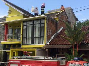 Sepanjang 2019, Damkar Ciamis Evakuasi 100 Sarang Tawon