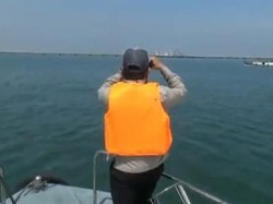 Hiu Tutul Muncul di Pelabuhan Probolinggo, Ini Upaya Polisi dan BKSDA