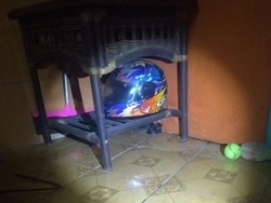 Ular Kobra Ditangkap di Teras Rumah Warga Depok, Hendak Mangsa Cicak