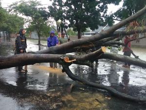 Hujan Deras di Bandung, Pohon Tumbang Tutup Jalan Cipamokolan