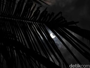 Gerhana Matahari Parsial September 2025, Ini Link Nonton Online