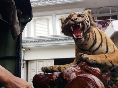 Penampakan Harimau-Rusa Offset di Rumah Koboi Lamborghini