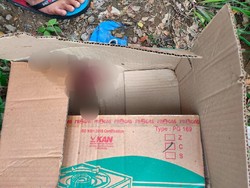 Warga Temukan Jasad Bayi Penuh Bercak Darah dalam Kardus di Bekasi