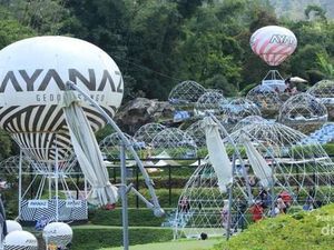 Ini Taman Instagrammable di Candi Gedung Songo