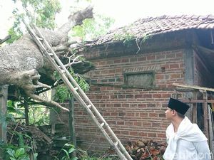 Rumah di Trenggalek yang Diacak-acak Angin Kencang Capai 50 Unit Rumah di Trenggalek yang Diacak-acak Angin Kencang Capai 50 Unit