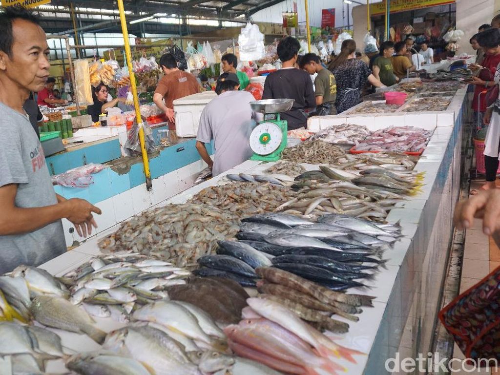 Agar Tak Salah Pilih, Ini Tips Membeli Ikan Segar